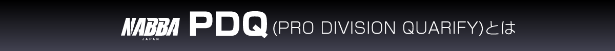 PDQ(PRO DIVISION QUARIFY)とは