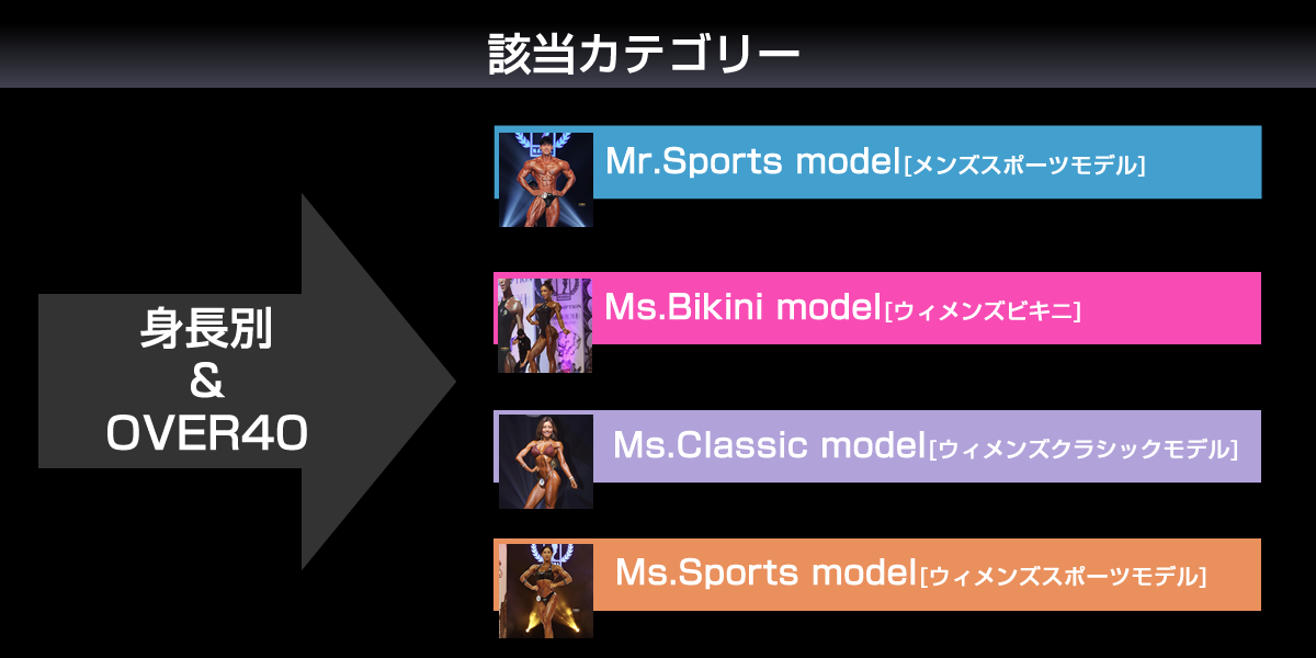 該当カテゴリー